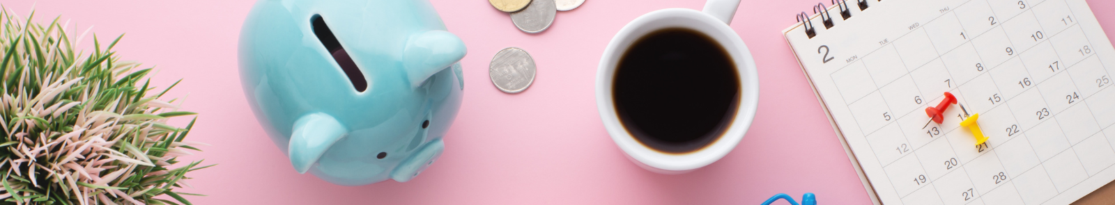 The camera looks from above at a pink desk space. From left to right is a varigated potted plant
